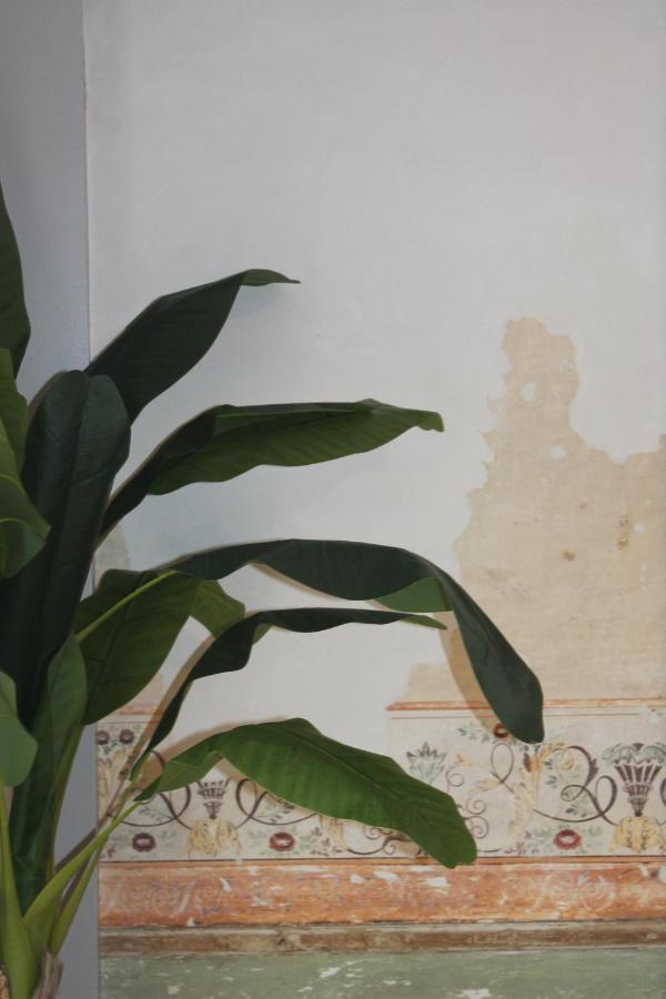 Casa Das Quatro Cabecas เซตุบาล ภายนอก รูปภาพ